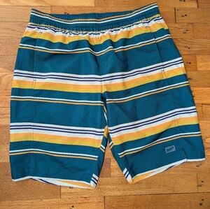 Duluth Men's Striped Swim Trunks